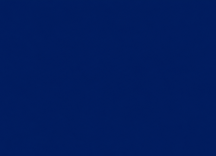 codex-1d934e6a2a3340daac61b8433e5005f2